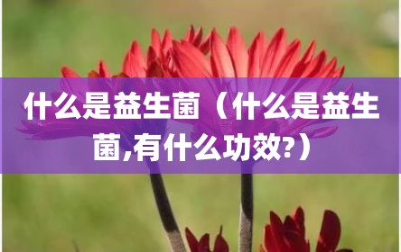 什么是益生菌（什么是益生菌,有什么功效?）