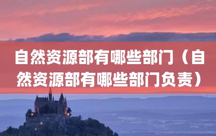 自然资源部有哪些部门（自然资源部有哪些部门负责）