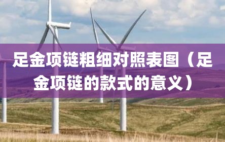 足金项链粗细对照表图（足金项链的款式的意义）