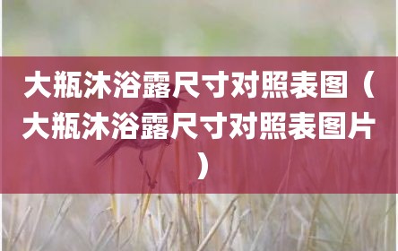 大瓶沐浴露尺寸对照表图（大瓶沐浴露尺寸对照表图片）