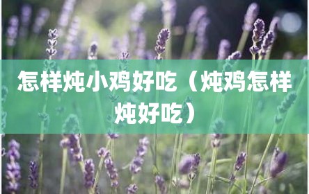 怎样炖小鸡好吃（炖鸡怎样炖好吃）