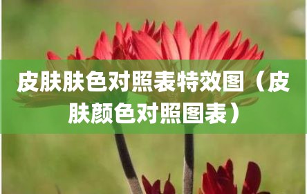 皮肤肤色对照表特效图（皮肤颜色对照图表）