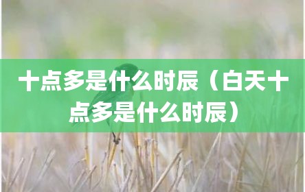 十点多是什么时辰（白天十点多是什么时辰）