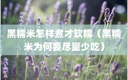 黑糯米怎样煮才软糯（黑糯米为何要尽量少吃）