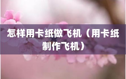 怎样用卡纸做飞机（用卡纸制作飞机）