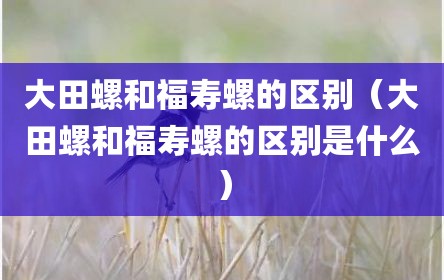 大田螺和福寿螺的区别（大田螺和福寿螺的区别是什么）