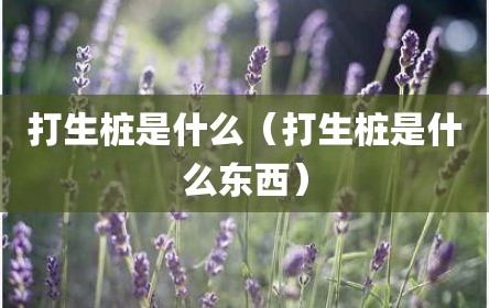 打生桩是什么（打生桩是什么东西）
