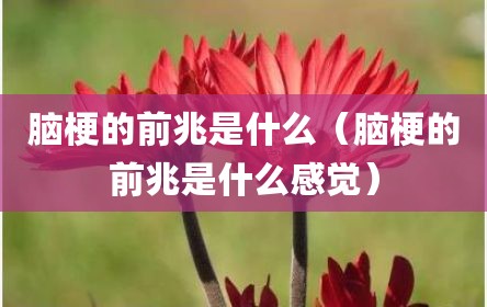 脑梗的前兆是什么（脑梗的前兆是什么感觉）