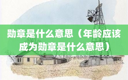 勋章是什么意思（年龄应该成为勋章是什么意思）