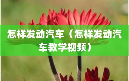 怎样发动汽车（怎样发动汽车教学视频）