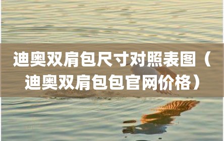迪奥双肩包尺寸对照表图（迪奥双肩包包官网价格）