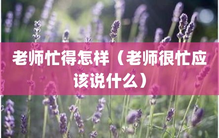 老师忙得怎样（老师很忙应该说什么）