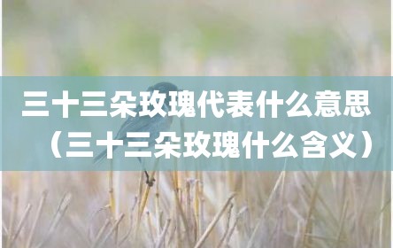三十三朵玫瑰代表什么意思（三十三朵玫瑰什么含义）