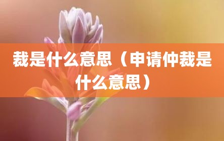 裁是什么意思（申请仲裁是什么意思）