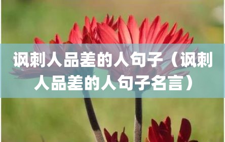 讽刺人品差的人句子（讽刺人品差的人句子名言）