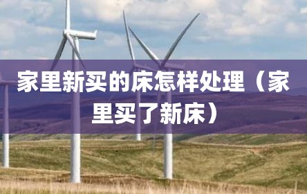 家里新买的床怎样处理（家里买了新床）