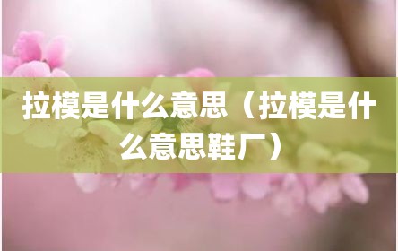 拉模是什么意思（拉模是什么意思鞋厂）