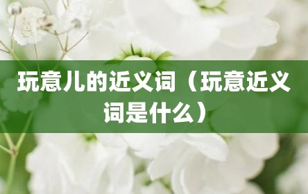 玩意儿的近义词（玩意近义词是什么）
