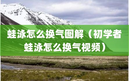 蛙泳怎么换气图解（初学者蛙泳怎么换气视频）