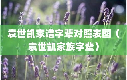 袁世凯家谱字辈对照表图（袁世凯家族字辈）