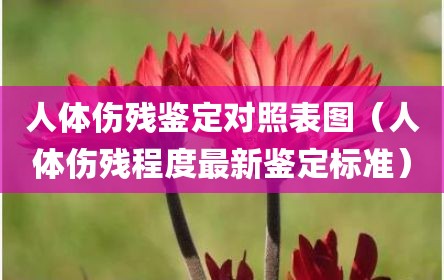 人体伤残鉴定对照表图（人体伤残程度最新鉴定标准）