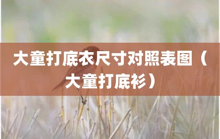 大童打底衣尺寸对照表图（大童打底衫）