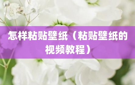 怎样粘贴壁纸（粘贴壁纸的视频教程）