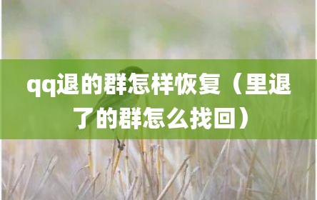 qq退的群怎样恢复（里退了的群怎么找回）