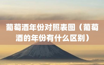 葡萄酒年份对照表图（葡萄酒的年份有什么区别）