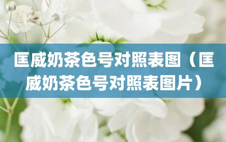 匡威奶茶色号对照表图（匡威奶茶色号对照表图片）