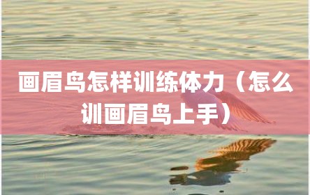 画眉鸟怎样训练体力（怎么训画眉鸟上手）