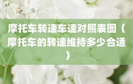 摩托车转速车速对照表图（摩托车的转速维持多少合适）