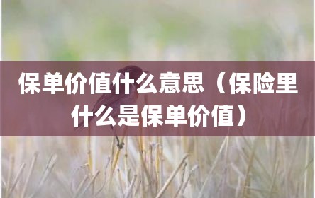 保单价值什么意思（保险里什么是保单价值）