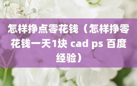 怎样挣点零花钱（怎样挣零花钱一天1块 cad ps 百度经验）