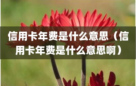信用卡年费是什么意思（信用卡年费是什么意思啊）