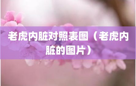 老虎内脏对照表图（老虎内脏的图片）