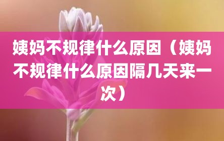 姨妈不规律什么原因（姨妈不规律什么原因隔几天来一次）