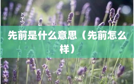 先前是什么意思（先前怎么样）