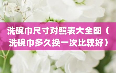 洗碗巾尺寸对照表大全图（洗碗巾多久换一次比较好）