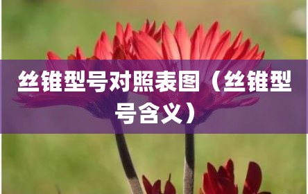 丝锥型号对照表图（丝锥型号含义）