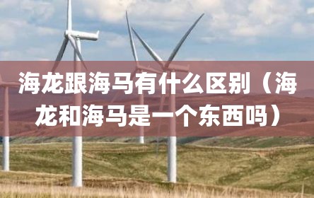 海龙跟海马有什么区别（海龙和海马是一个东西吗）