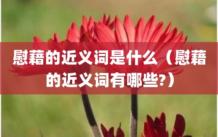 慰藉的近义词是什么（慰藉的近义词有哪些?）