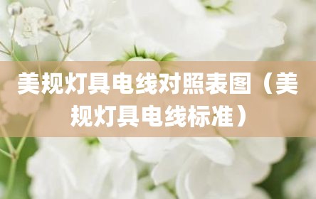 美规灯具电线对照表图（美规灯具电线标准）