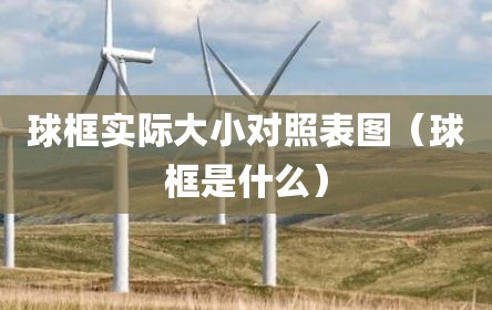 球框实际大小对照表图（球框是什么）