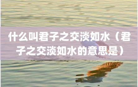什么叫君子之交淡如水（君子之交淡如水的意思是）