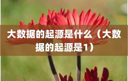 大数据的起源是什么（大数据的起源是1）