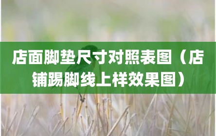 店面脚垫尺寸对照表图（店铺踢脚线上样效果图）