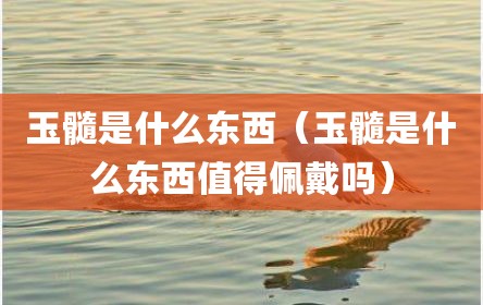 玉髓是什么东西（玉髓是什么东西值得佩戴吗）