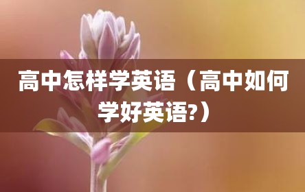 高中怎样学英语（高中如何学好英语?）