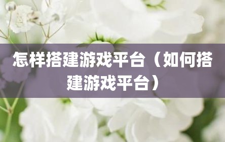怎样搭建游戏平台（如何搭建游戏平台）